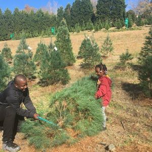 Meet your Posher, Jontae